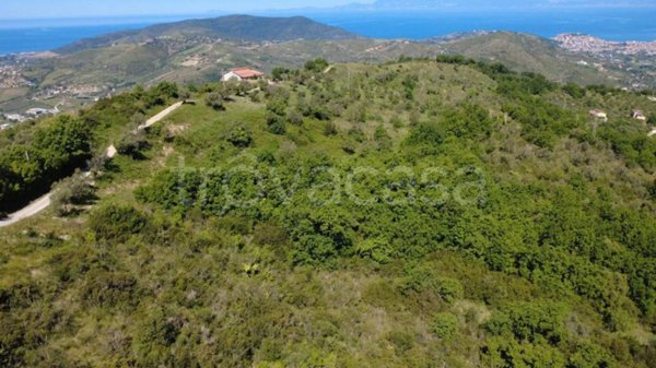 casa indipendente in vendita a Laureana Cilento