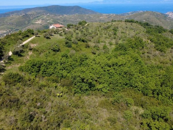 casa indipendente in vendita a Laureana Cilento