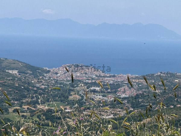 appartamento in vendita a Laureana Cilento