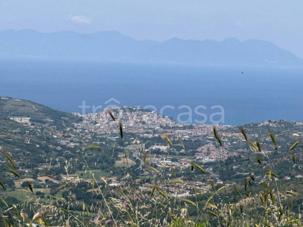 terreno agricolo in vendita a Laureana Cilento