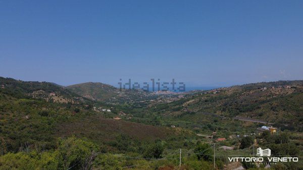 terreno agricolo in vendita a Laureana Cilento