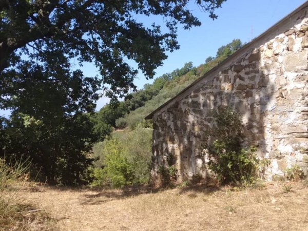 terreno agricolo in vendita a Laureana Cilento