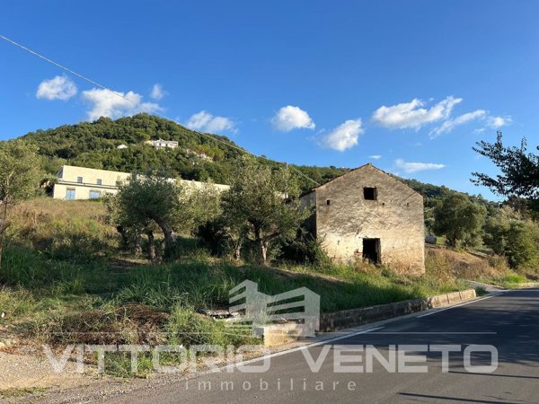 terreno in vendita a Laureana Cilento