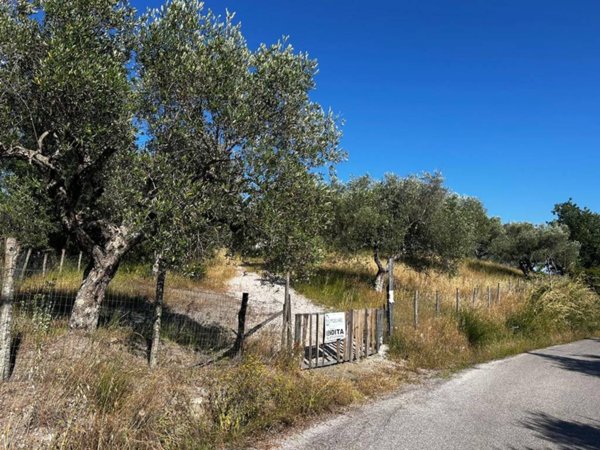 terreno agricolo in vendita a Lustra in zona Selva