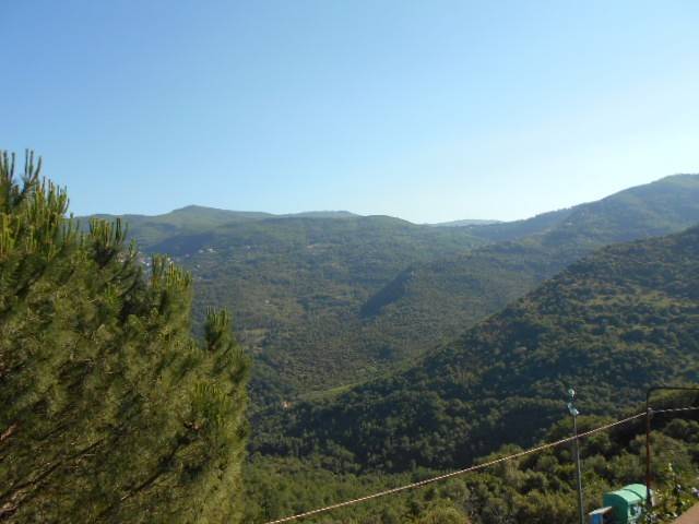 appartamento in vendita a Lustra