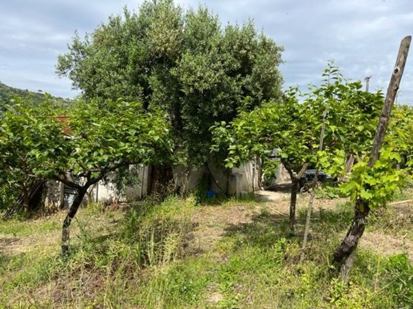 appartamento in vendita a Lustra