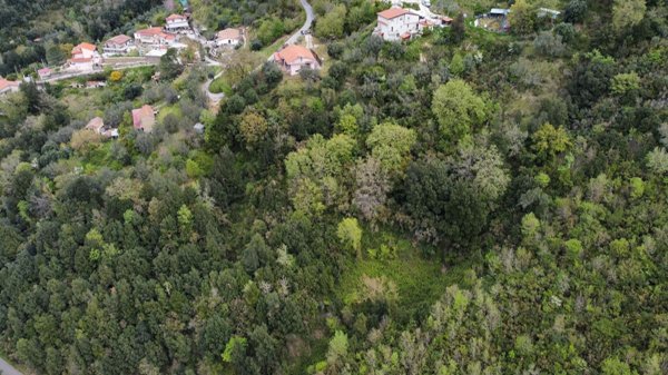 casa indipendente in vendita a Lustra