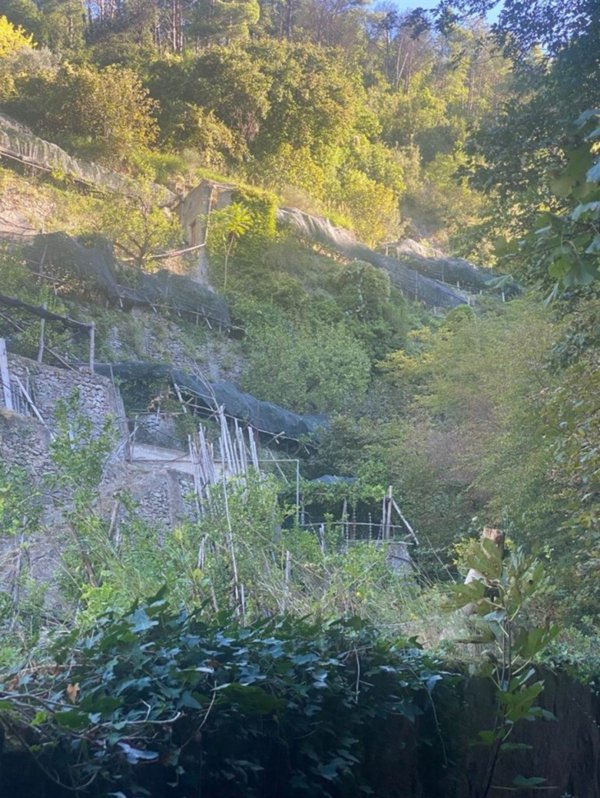 terreno agricolo in vendita a Maiori in zona Ponteprimario