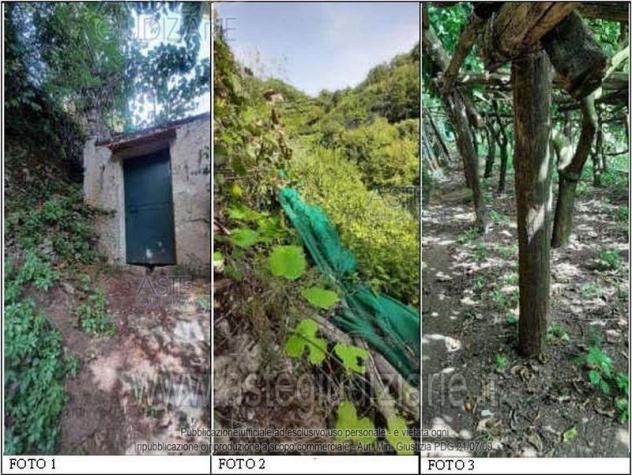 terreno agricolo in vendita a Maiori