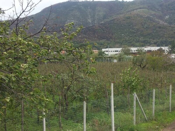 terreno agricolo in vendita a Mercato San Severino in zona Sant'Eustachio