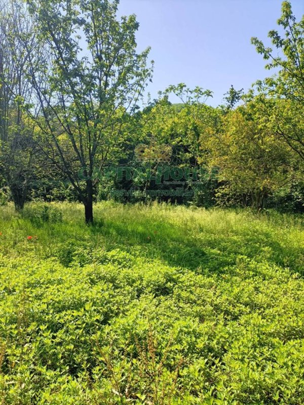 terreno agricolo in vendita a Mercato San Severino