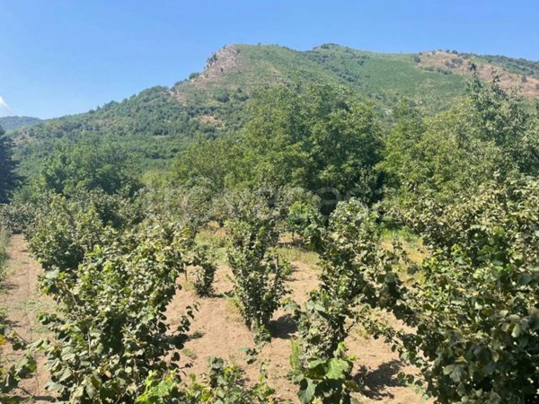 terreno agricolo in vendita a Mercato San Severino in zona Ciorani