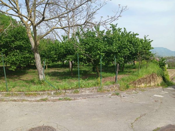 terreno agricolo in vendita a Mercato San Severino in zona Corticelle