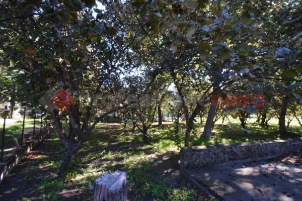 terreno agricolo in vendita a Mercato San Severino
