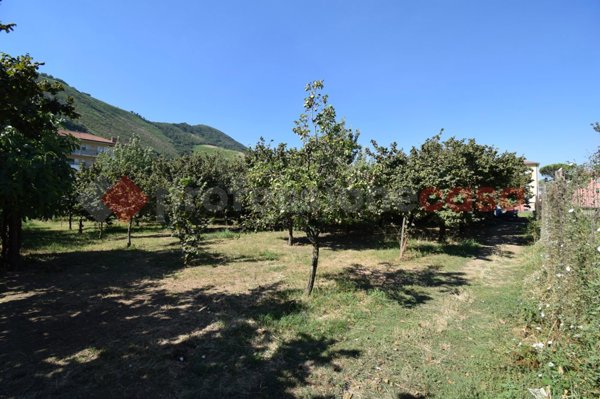 terreno agricolo in vendita a Mercato San Severino in zona Sant'Eustachio