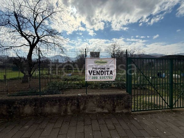 terreno agricolo in vendita a Mercato San Severino in zona San Vincenzo
