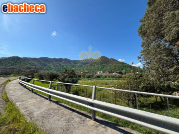terreno agricolo in vendita a Mercato San Severino