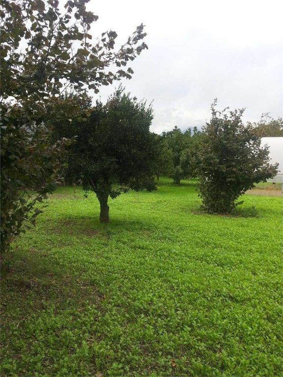 terreno agricolo in vendita a Mercato San Severino in zona Sant'Eustachio