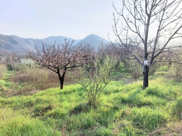 terreno agricolo in vendita a Mercato San Severino