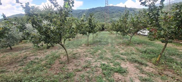 terreno agricolo in vendita a Mercato San Severino in zona Pandola