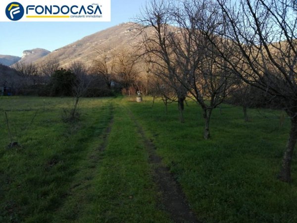 terreno agricolo in vendita a Mercato San Severino in zona Ciorani
