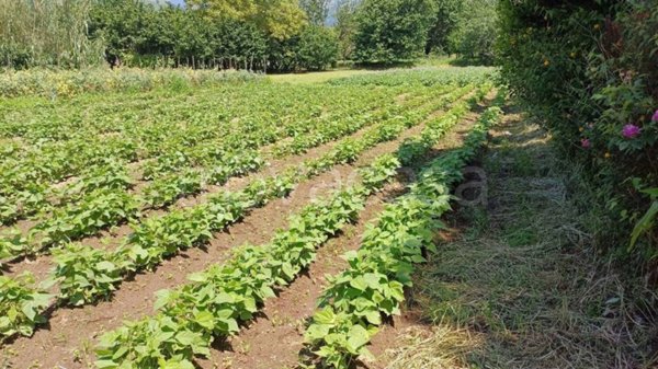 terreno agricolo in vendita a Mercato San Severino in zona Priscoli