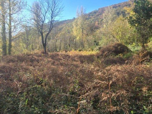terreno agricolo in vendita a Mercato San Severino in zona Carifi/Torello