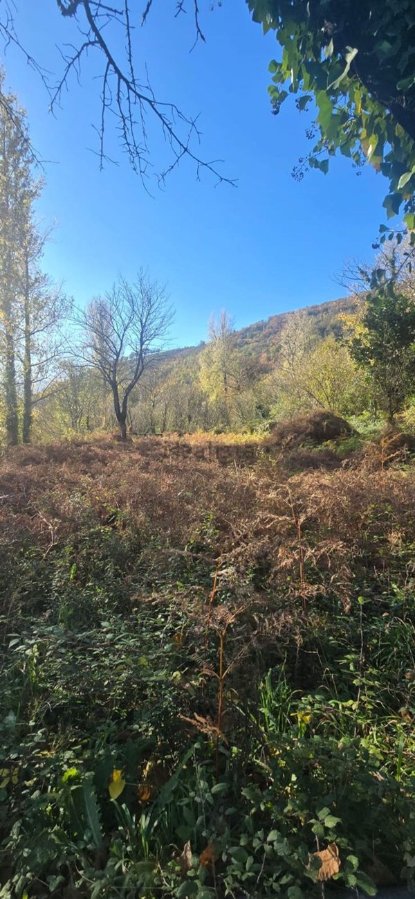 terreno agricolo in vendita a Mercato San Severino in zona Carifi/Torello