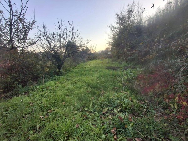 terreno agricolo in vendita a Mercato San Severino in zona Acigliano