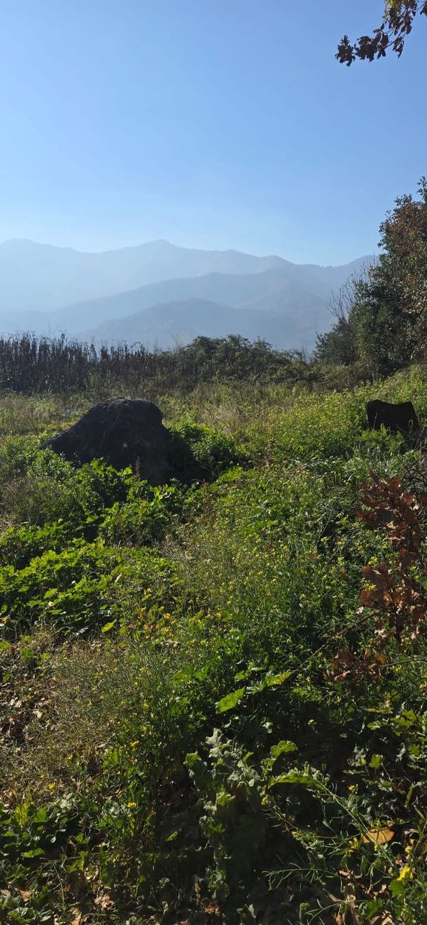 terreno agricolo in vendita a Mercato San Severino