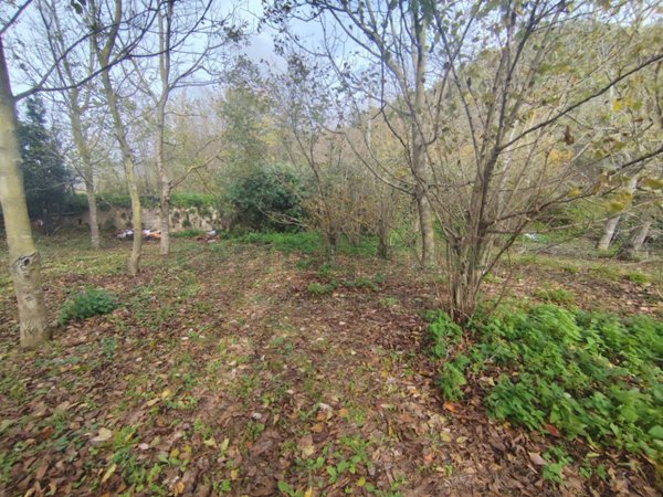 terreno agricolo in vendita a Mercato San Severino
