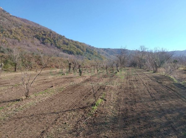 terreno agricolo in vendita a Mercato San Severino in zona Ciorani