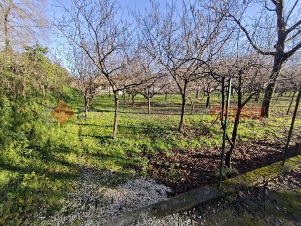 terreno agricolo in vendita a Mercato San Severino in zona Corticelle