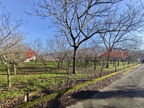 terreno agricolo in vendita a Mercato San Severino in zona Corticelle