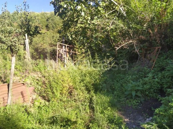 terreno agricolo in vendita a Mercato San Severino