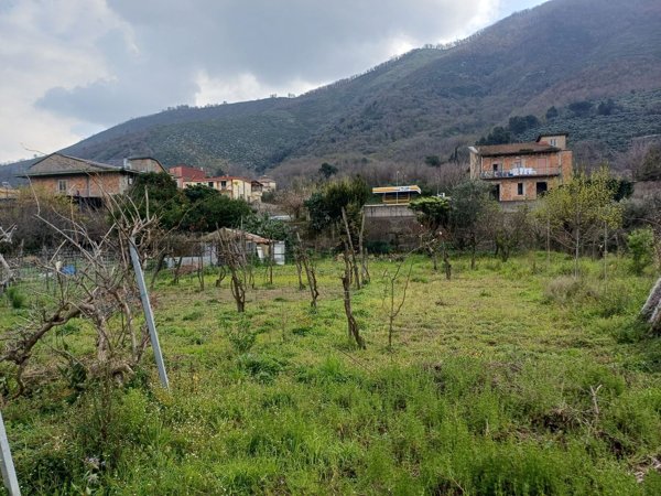 terreno agricolo in vendita a Mercato San Severino