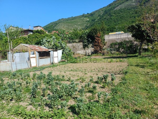 terreno agricolo in vendita a Mercato San Severino