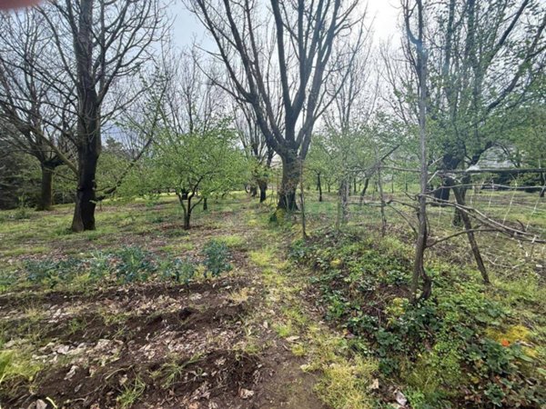 terreno edificabile in vendita a Mercato San Severino in zona Carifi/Torello