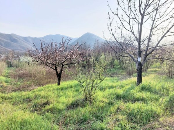 ufficio in vendita a Mercato San Severino