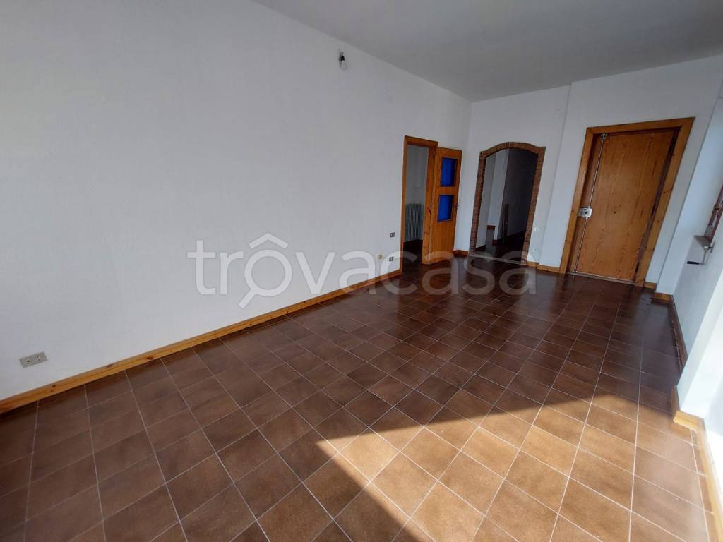 immagine annuncio 0 di 15