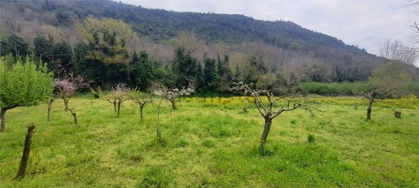 terreno agricolo in vendita a Mercato San Severino in zona San Vincenzo