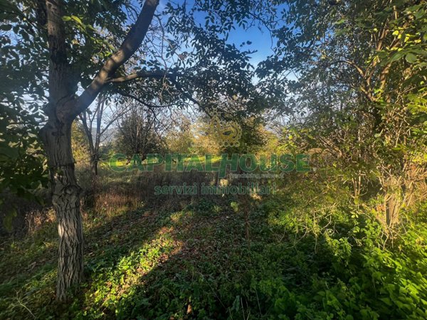 terreno agricolo in vendita a Mercato San Severino in zona San Vincenzo