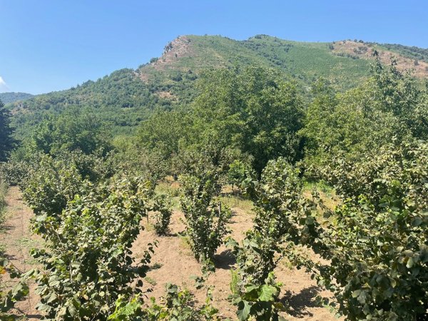 terreno in vendita a Mercato San Severino in zona Lombardi