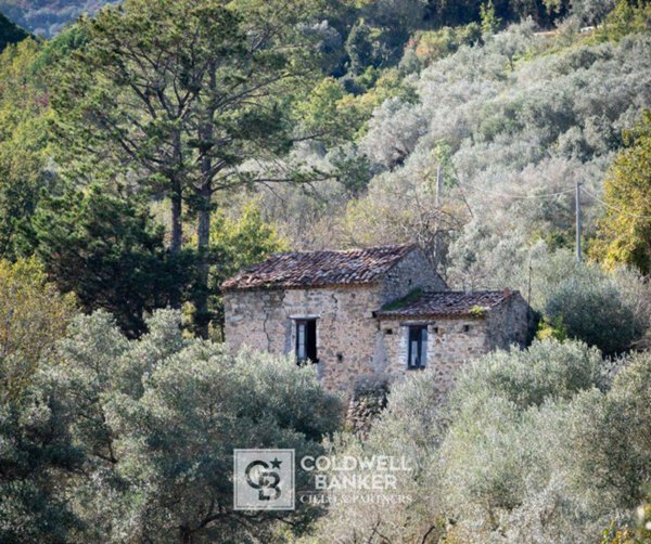 casa indipendente in vendita a Moio della Civitella