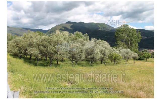 terreno agricolo in vendita a Moio della Civitella