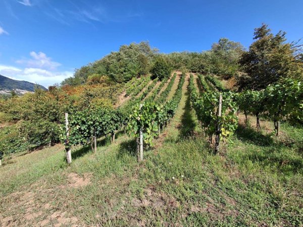 casa indipendente in vendita a Montano Antilia in zona Abatemarco