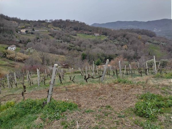casa indipendente in vendita a Montano Antilia in zona Abatemarco