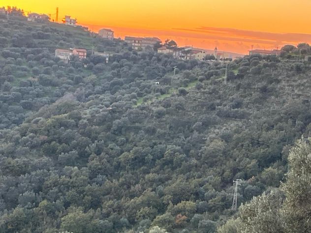 terreno agricolo in vendita a Montecorice
