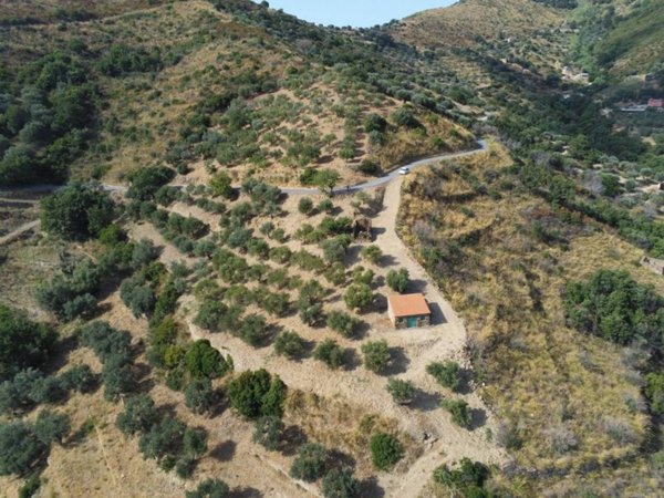 casa indipendente in vendita a Montecorice