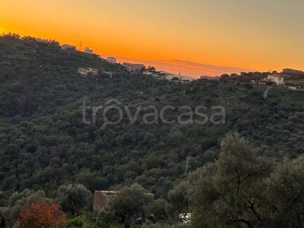 terreno agricolo in vendita a Montecorice
